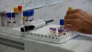 Nastavlja se akcija besplatnog čipovanja i vakcinacije vlasničkih pasa