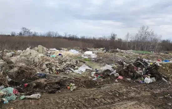 Čišćenje divlje deponije u Bačkom Gračacu