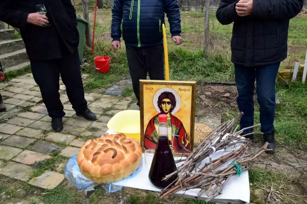Sveti Trifun