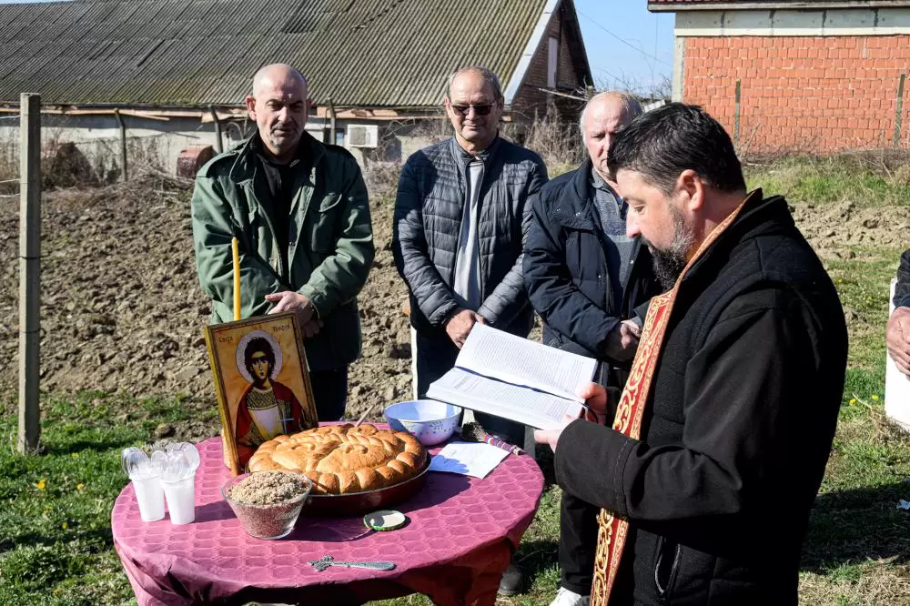 Vinogradari