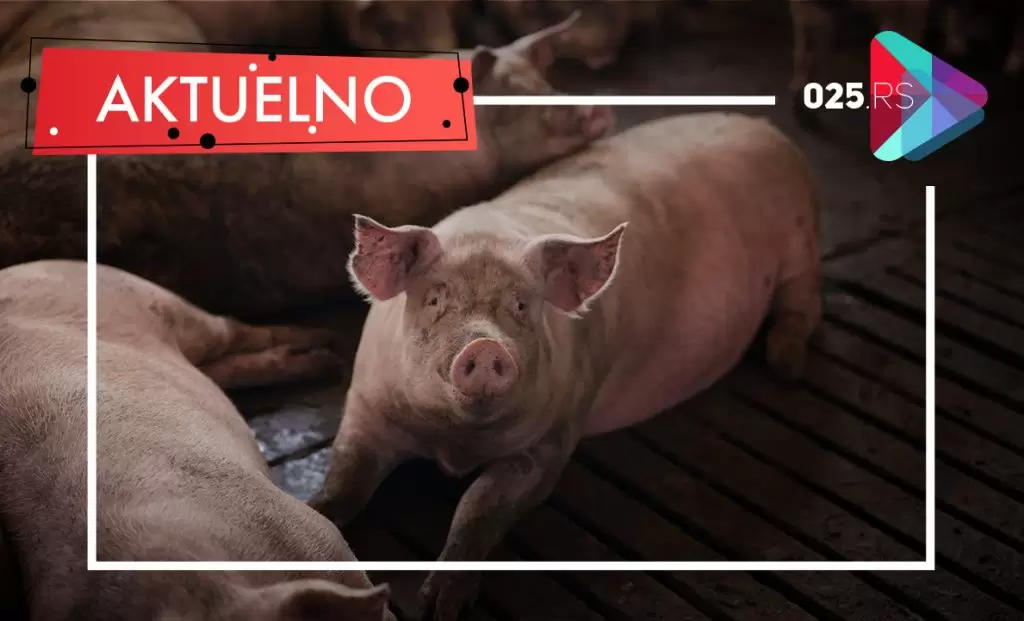 Aktuelno