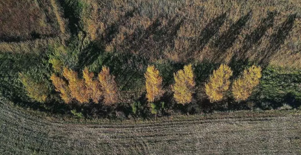 „Pogledi ispod oblaka“ 6. marta u Kuli