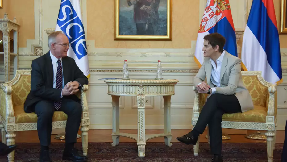 Brnabić