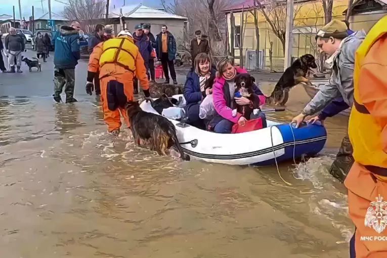 Poplave