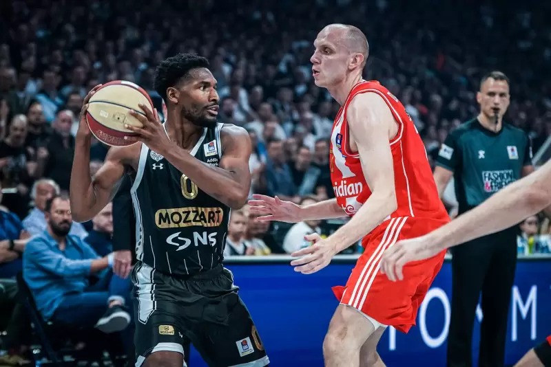 Partizan zvezda
