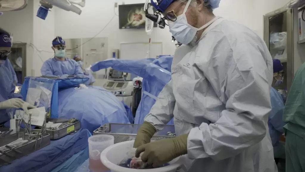 transplantacija