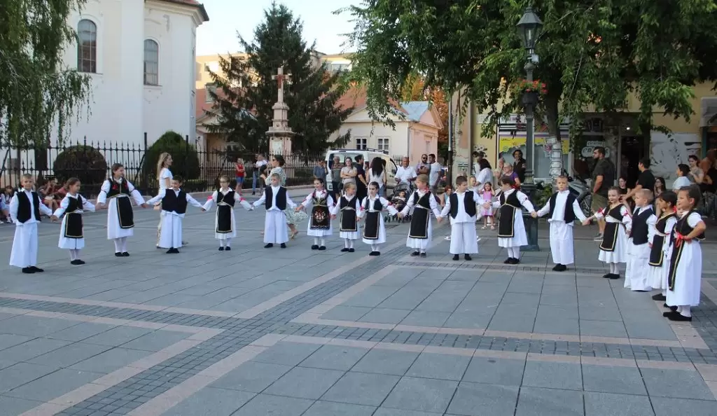 Dani žitnih polja