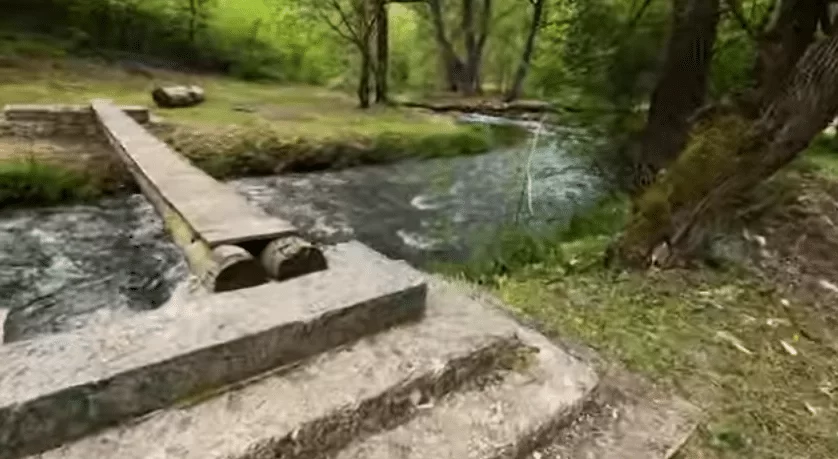 Banja
