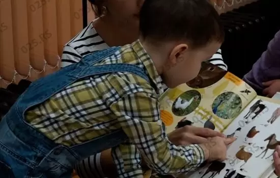 „Maca Papučarka“ i druge priče na dečjim radionicama u Apatinu