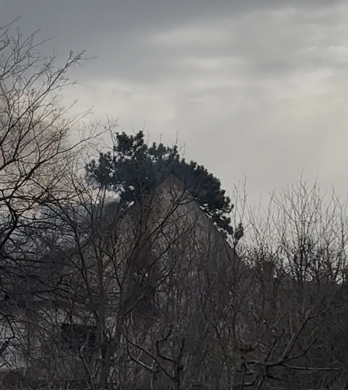 Gakovo: Izgorela Upravna zgrada firme “Graničar” 3