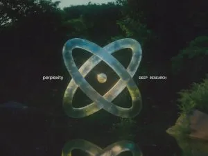 Perplexity