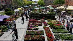 sajam cveća sombor