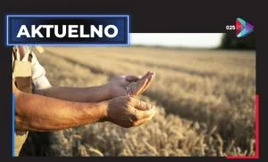 aktuelno