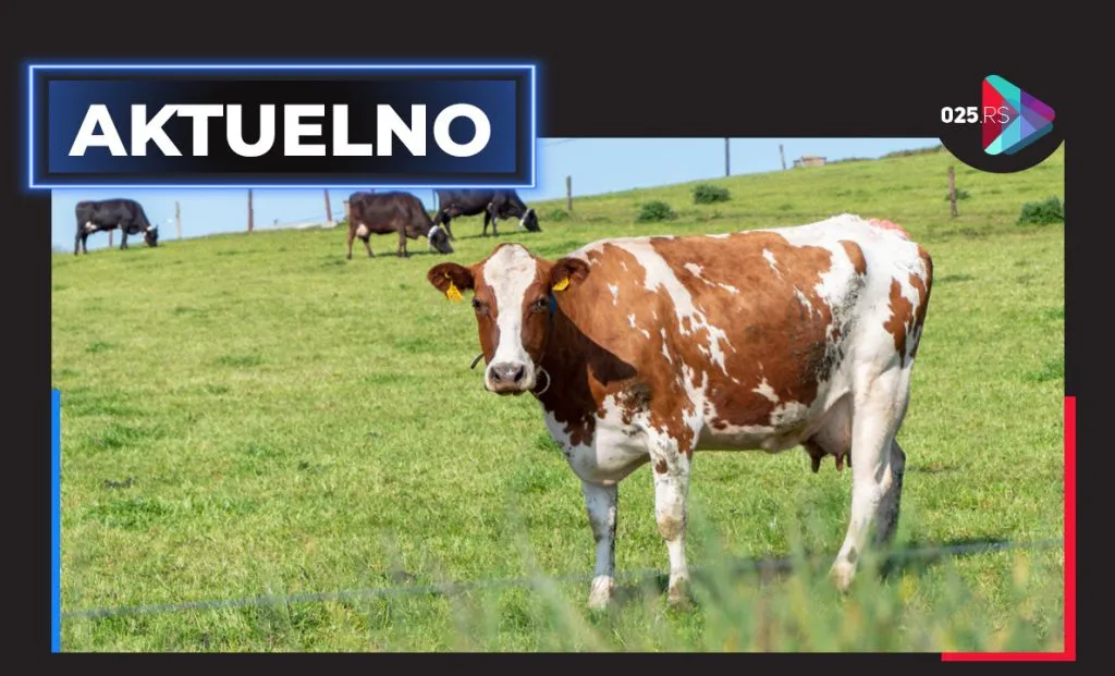 aktuelno