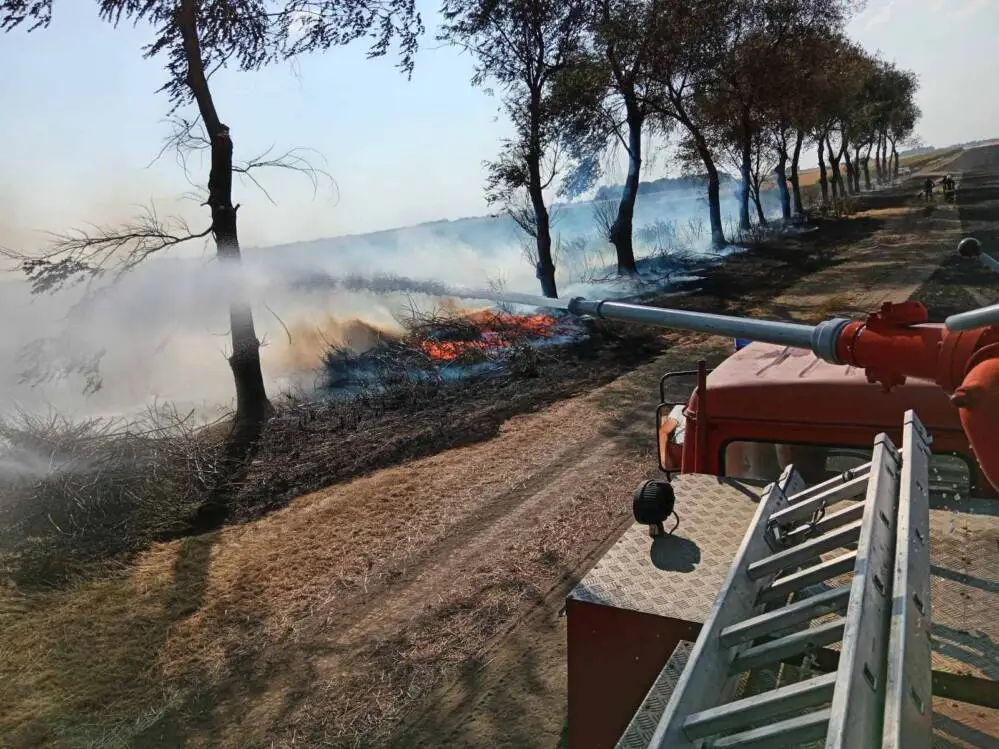 Izgorelo 150 hektara zemlje u Kuli, reagovala vatrogasna društva