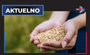 aktuelno