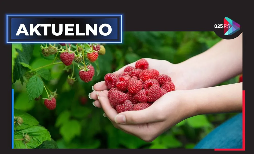 aktuelno